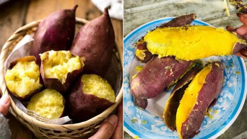 Ăn khoai lang có tốt không