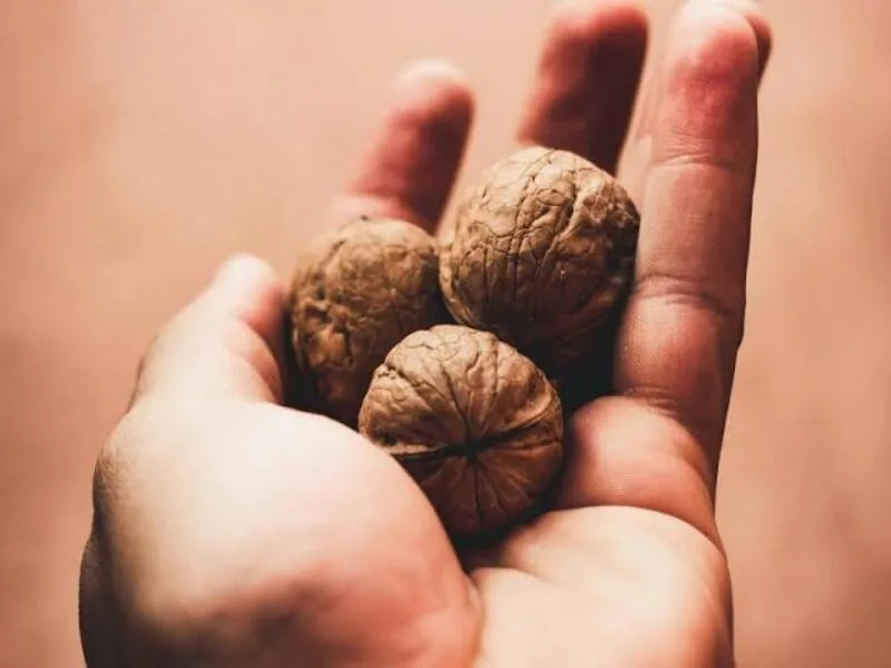 ăn hạt óc chó có tác dụng gì
